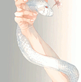 Ismael avatar animato.gif