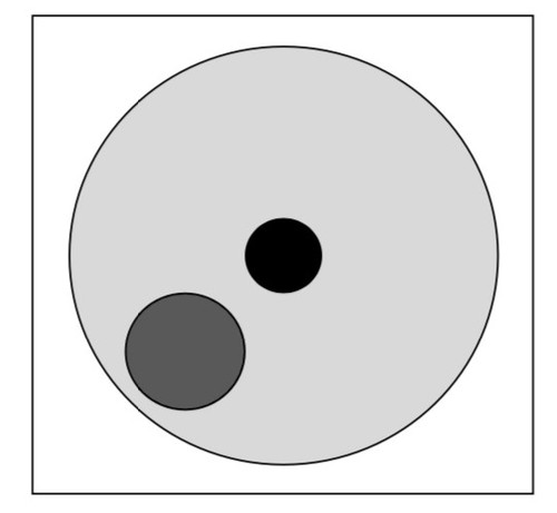 338CC707 157D 4AB5 8DA1 1904650D582F.jpg