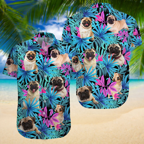 Main LNG142204G08.jpg