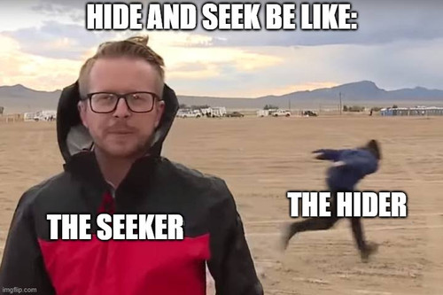 stupid hide n seek.jpg