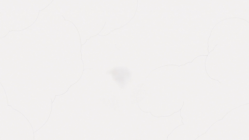 e42b37978179.png