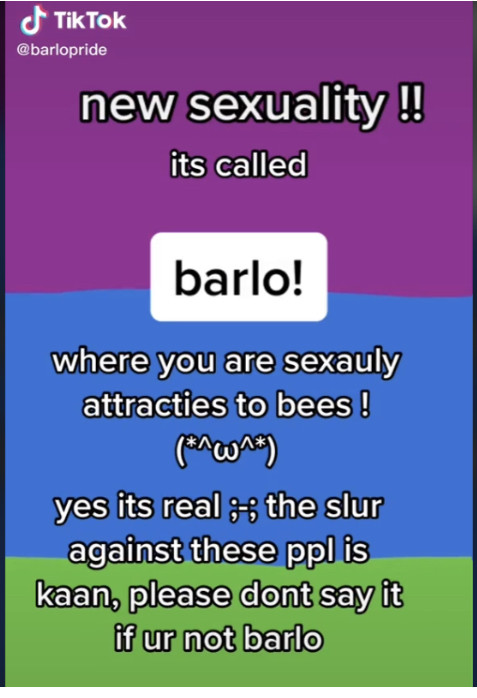 B7C3E003 3414 4C78 8242 2B30CE3137FA.jpg