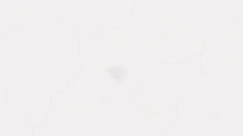 cdd8dae2764d.png