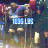 sport.gif