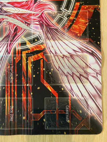 340763197 479365410996606 6006500926008909620 n.jpg