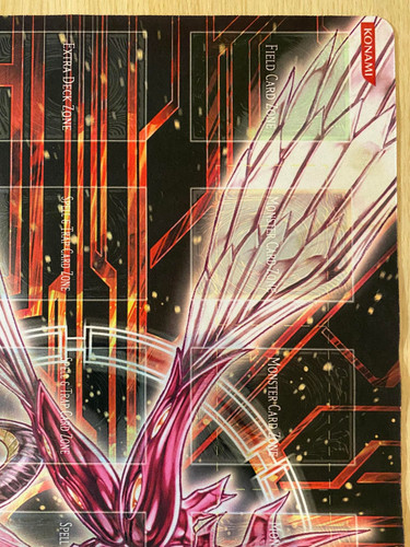 340657459 6051532181592529 2793337722110347530 n.jpg