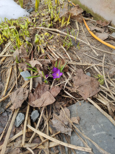 IMG 20230413 091957.jpg