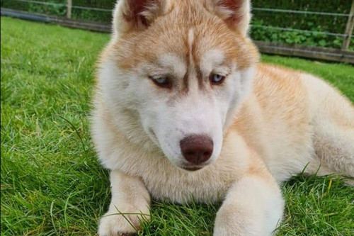 1665389309478 main.jpg