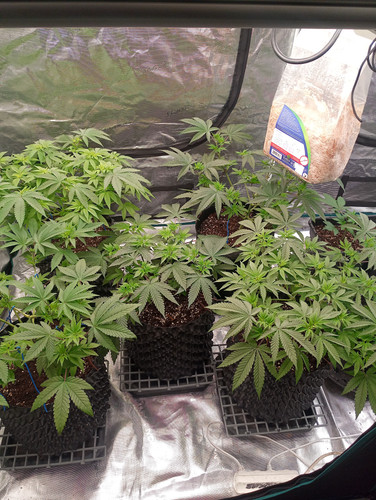 IMG 20230415 201955 915.jpg