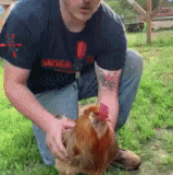 ab1c4ab93a00087f.out.20200127 002007.gif