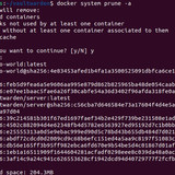 27 Docker system prune a