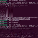 16 Instellen Portainer