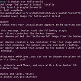 09 Docker werkt zonder sudo