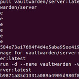 10 Install Vaultwarden