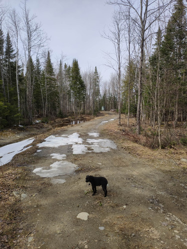 IMG 20230421 145432.jpg