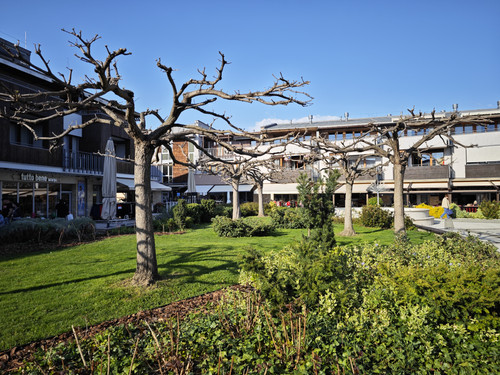 IMG 20230421 172100.jpg