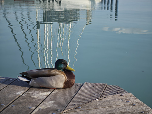 IMG 20230421 173404.jpg