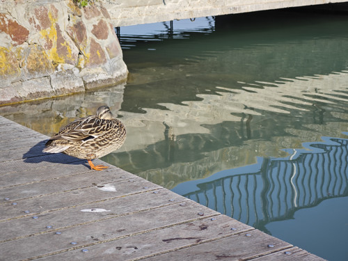 IMG 20230421 173429.jpg