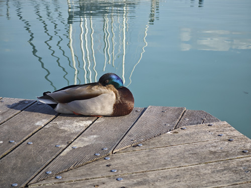 IMG 20230421 173410.jpg