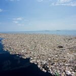 grande ilha de lixo do pacifico 150x150 21042023124501754.jpg