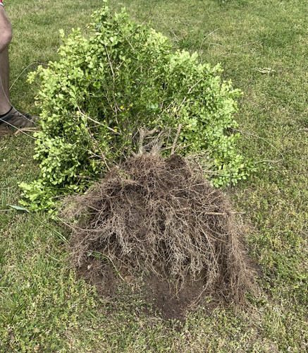 4412EC62 2C77 472C 9F87 DCC4C1BD0C78.jpg