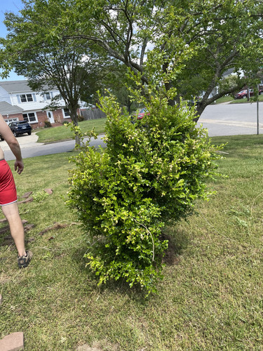 9B02502F B856 4C93 900F CC9E7E96E3D1.jpg