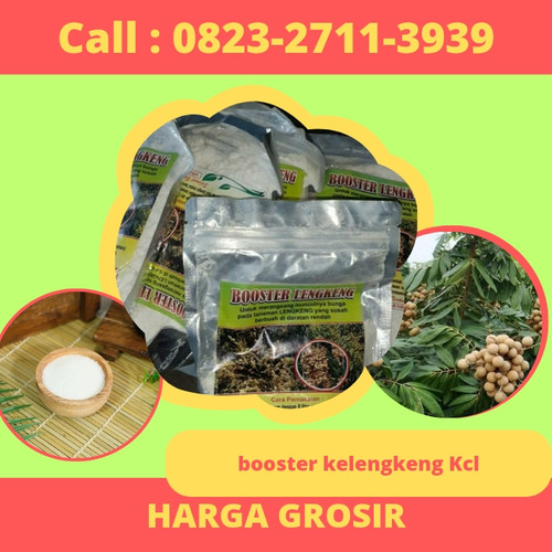 HARGA GROSIR! CALL 0823-2711-3939 Jual Pupuk Kcl Kelengkeng Nusantara.jpg