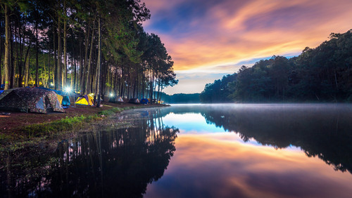 Jungle Resort Near Kolkata.jpg