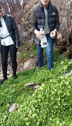 Lusine Khanzadyan.jpg