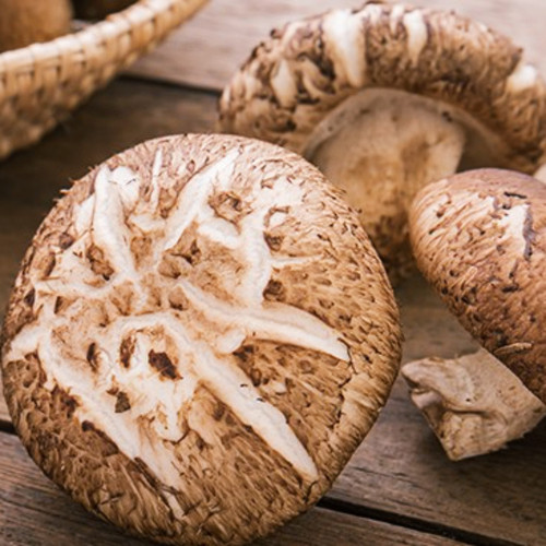 Shitake mushroom (2).jpg