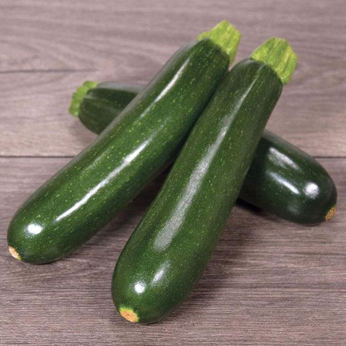 Zucchini.jpg