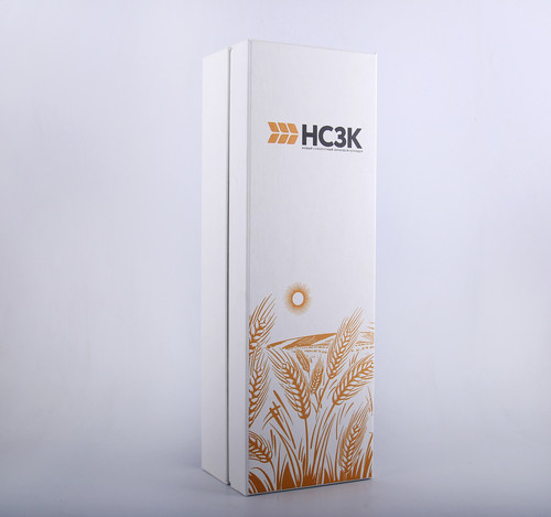 новый сухопутный зерновой коридор 6.jpg