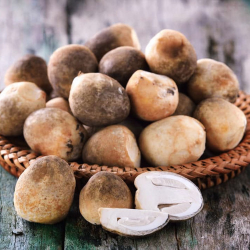 Straw mushroom (2).jpg
