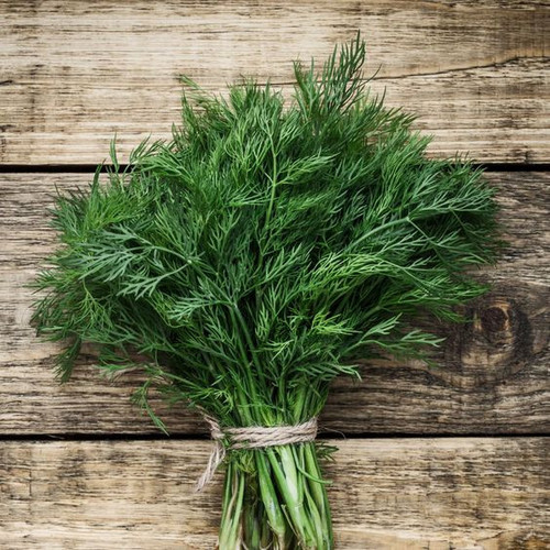 Dill (2).jpg