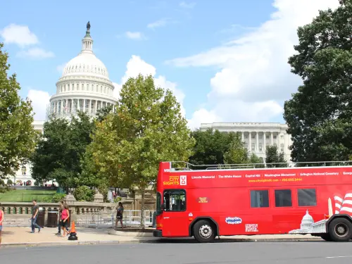 Discover the beauty of the nation's capital at your own pace with our Hop On Hop Off Washington DC tour. See iconic landmarks, explore museums, and experience the city's vibrant culture. With unlimited access to our buses and expert guides, it's the perfect way to make the most of your time in DC.
Book Now! https://www.hop-on-hop-off-bus.com/washington-dc-bus-tours