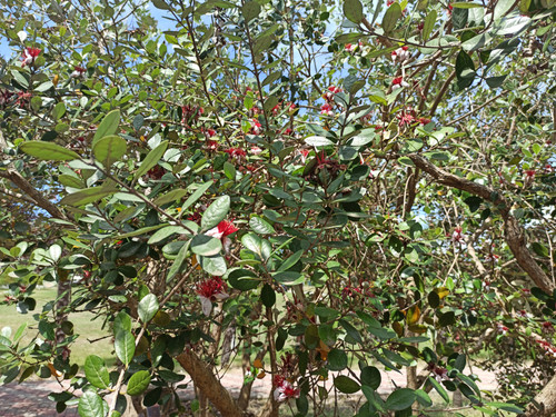 Изображение 045.jpg