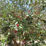 Изображение 045