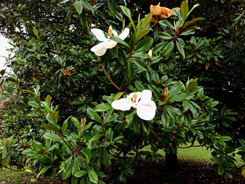 Изображение 032.jpg