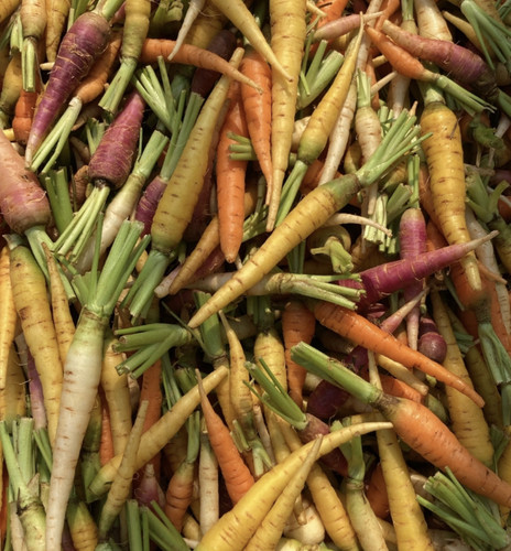 Organic Baby Carrot.jpg