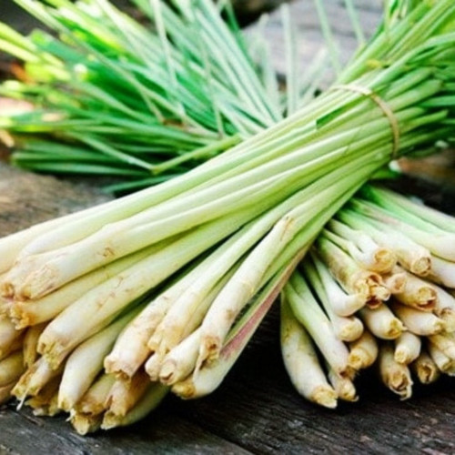 Lemongrass (4).jpg