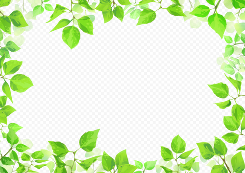 green leaves frame png 31627601867anls41zhdm.png