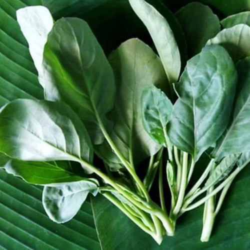Organic Chinese kale.jpg