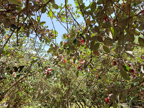 Изображение 010.jpg