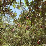 Изображение 010