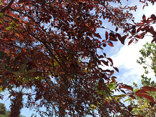 Изображение 011.jpg