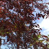 Изображение 011