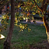 Изображение 079