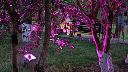 Изображение 080.jpg