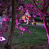 Изображение 080