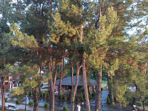 Изображение 022.jpg